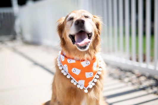Halloween Ghost Dog Bandana