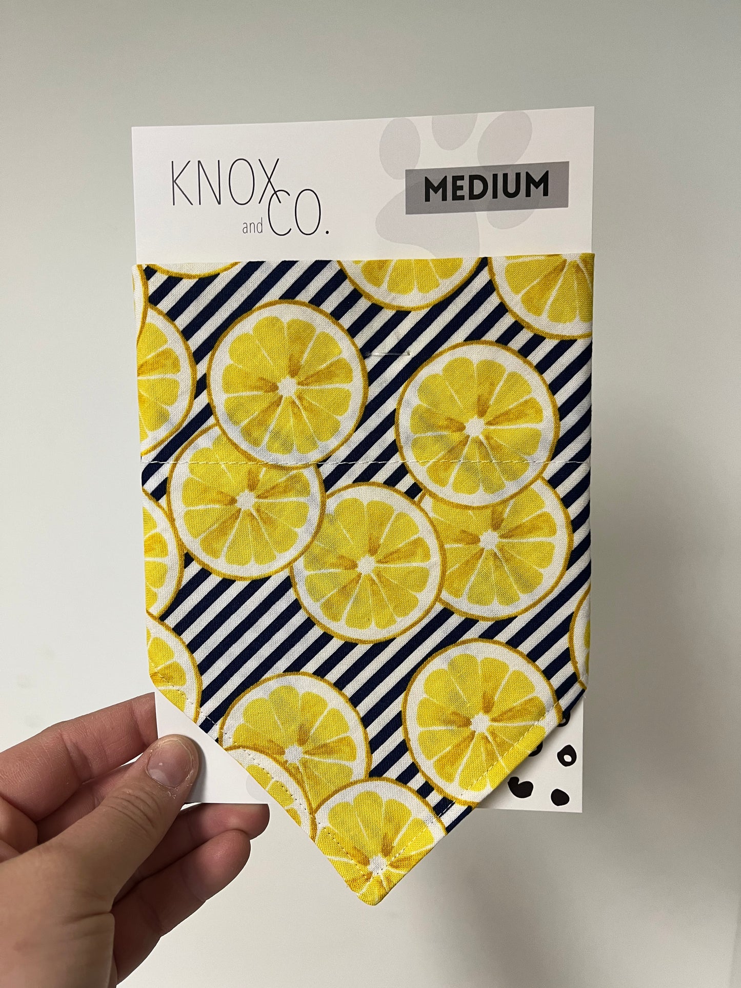 Lemon Summer Dog Bandana