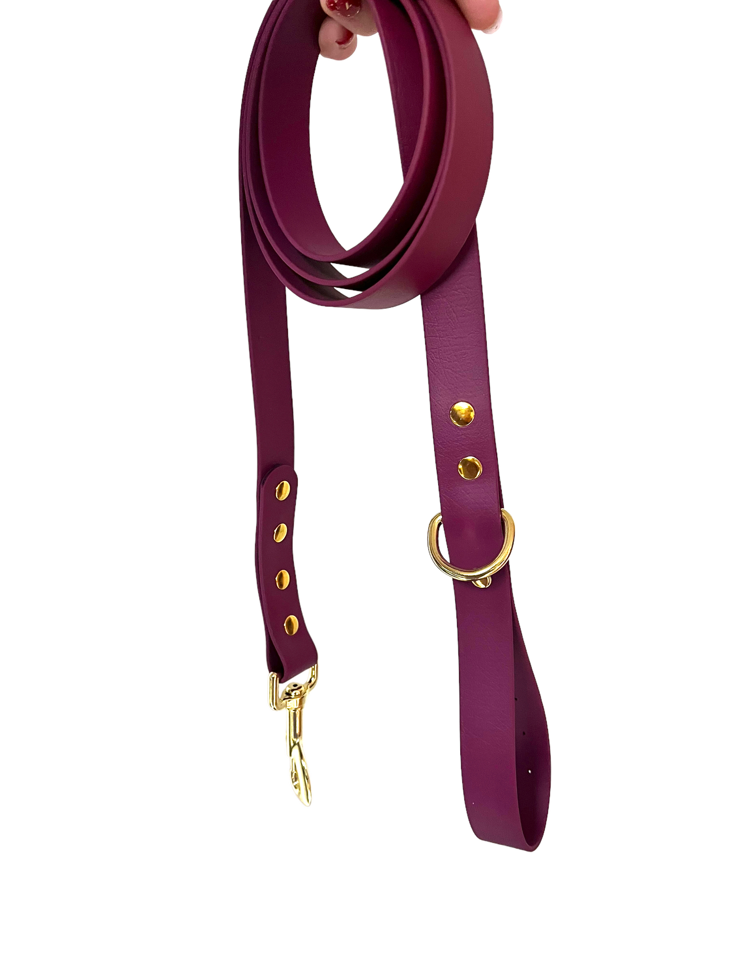 Burgundy 6’ leash