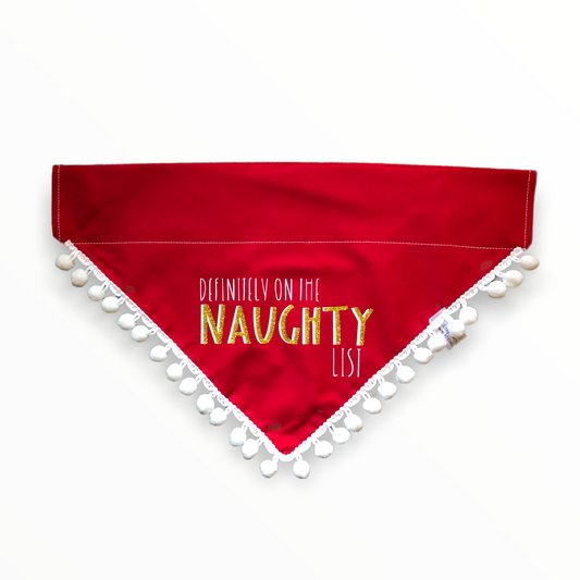 Naughty List