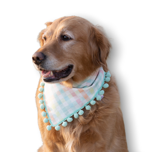 Payton (Easter ) Reversible