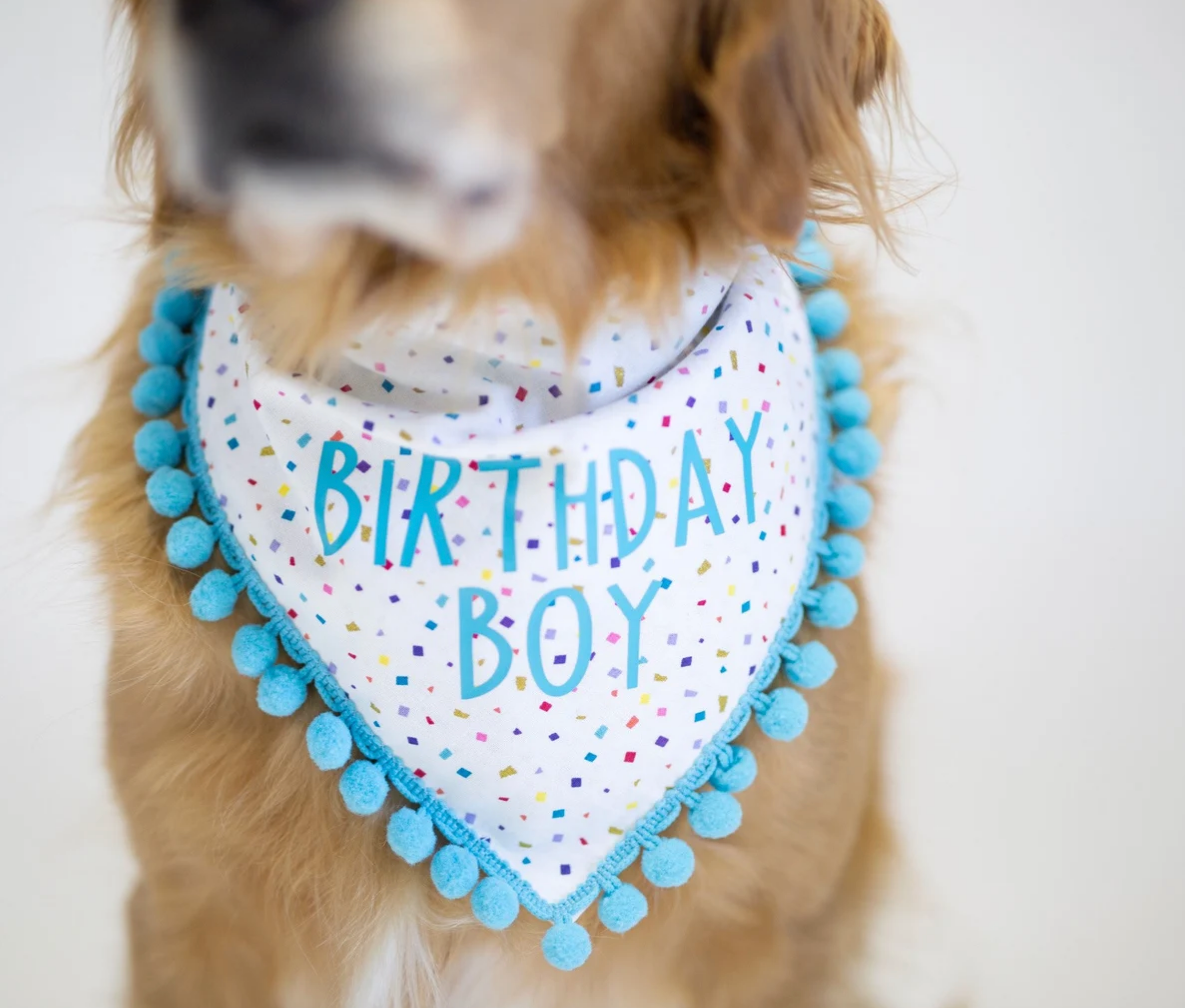 Birthday Boy