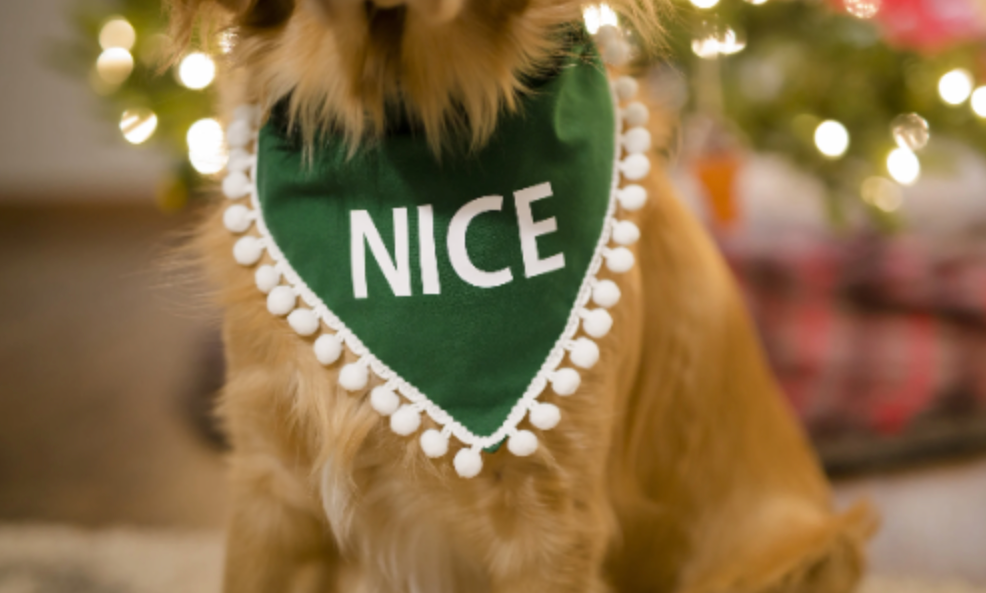 Nice Christmas Dog Bandana