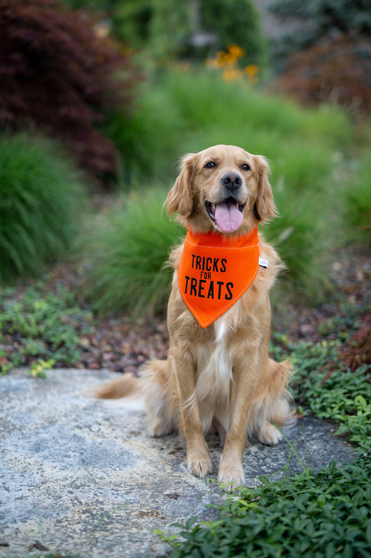 Tricks for Treats