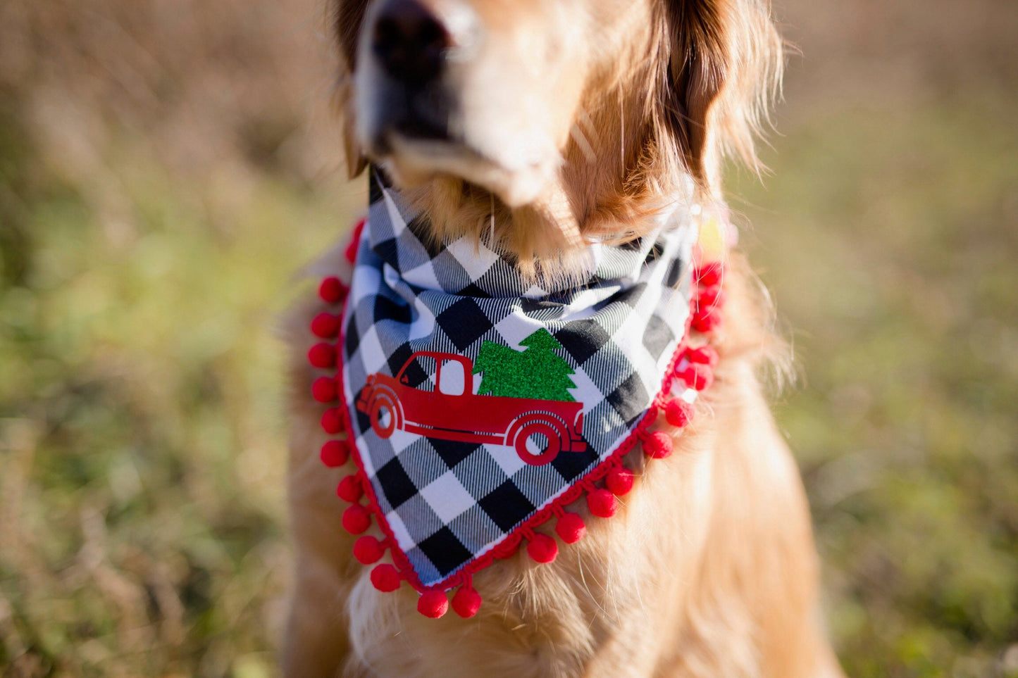 Red truck Christmas, Christmas, Christmas decor, Christmas dog, Christmas dog bandana, dog scarf, over the collar Christmas bandana