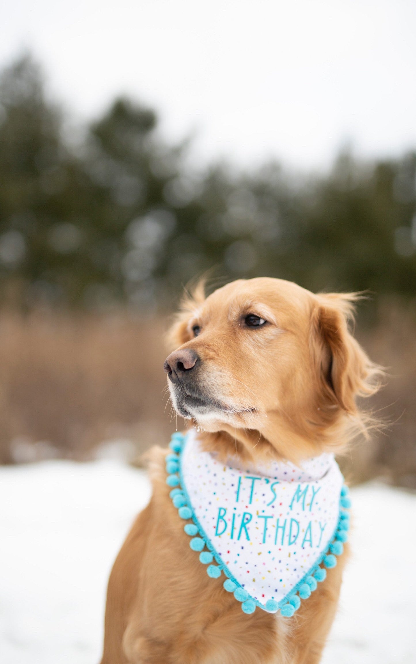 Tucker (Birthday)