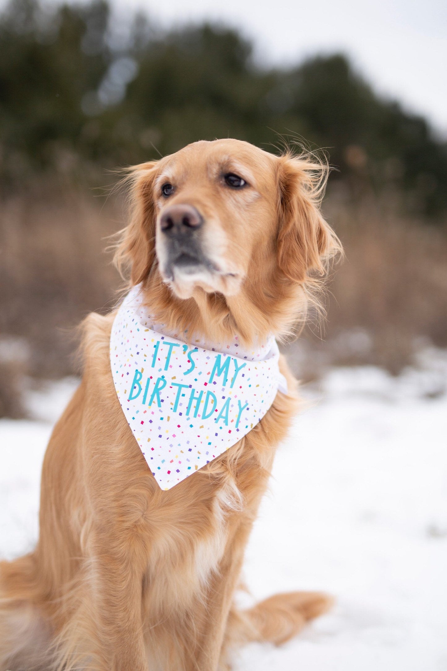 Tucker (Birthday)