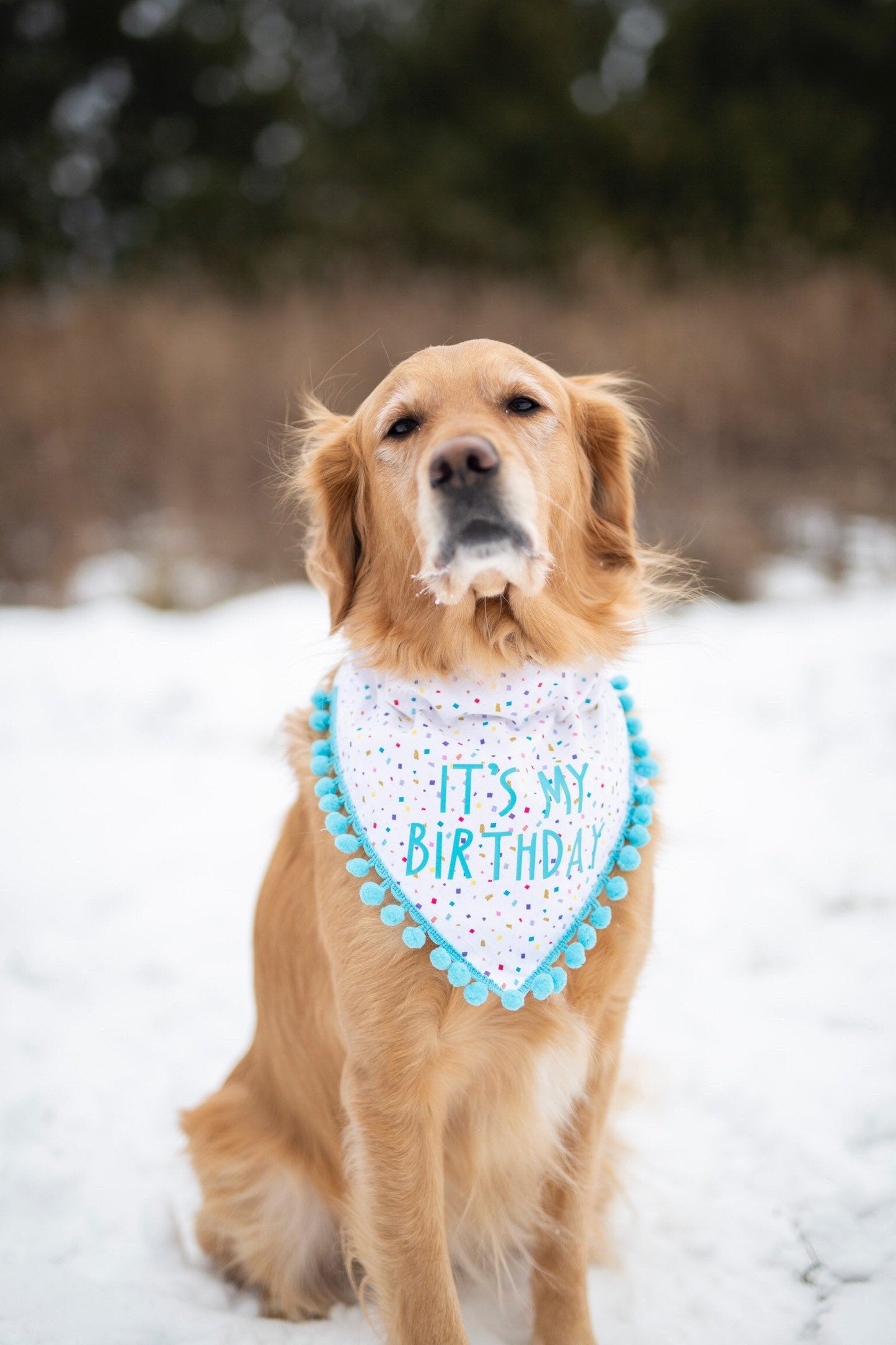 Tucker (Birthday)