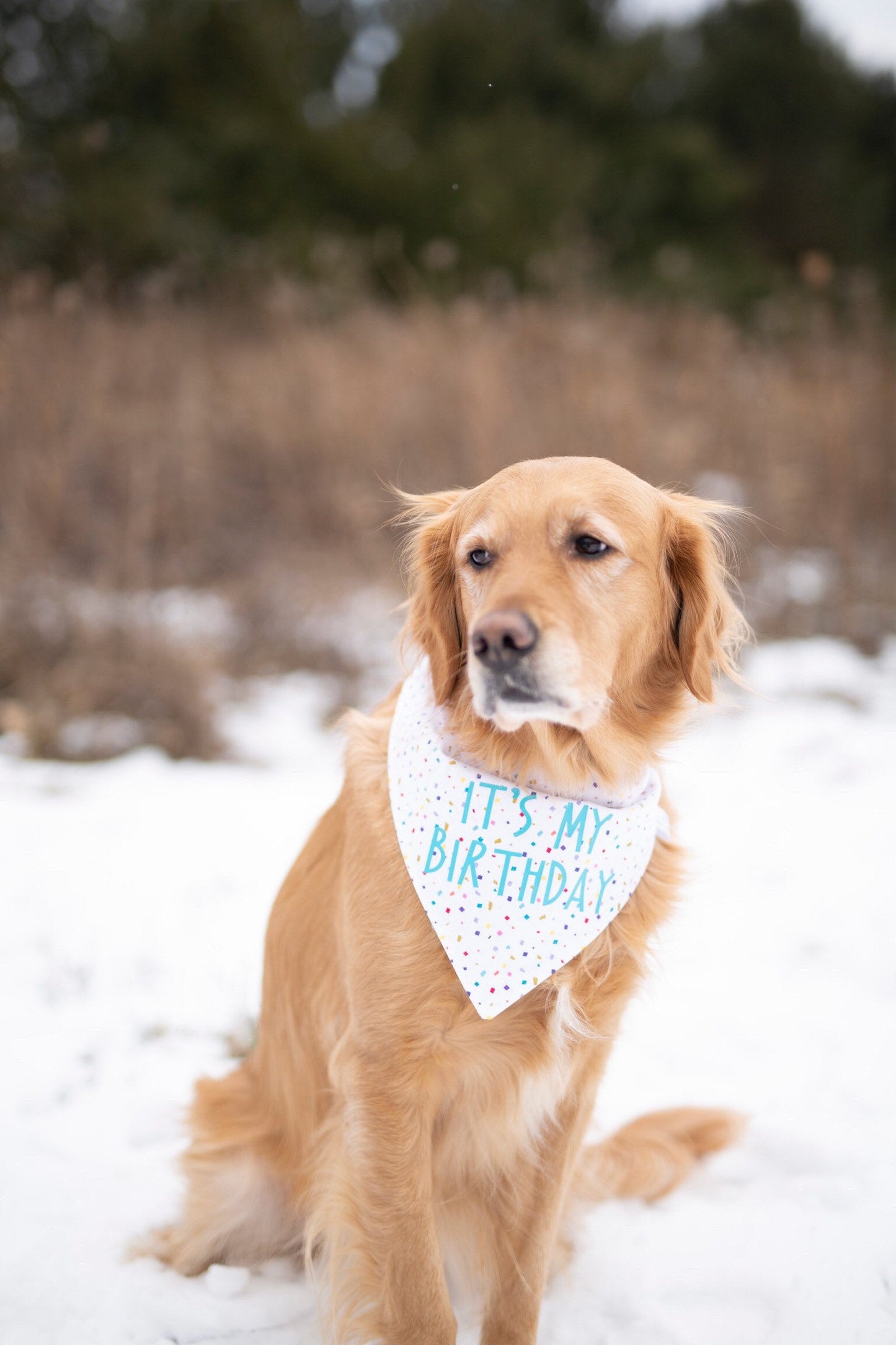Tucker (Birthday)