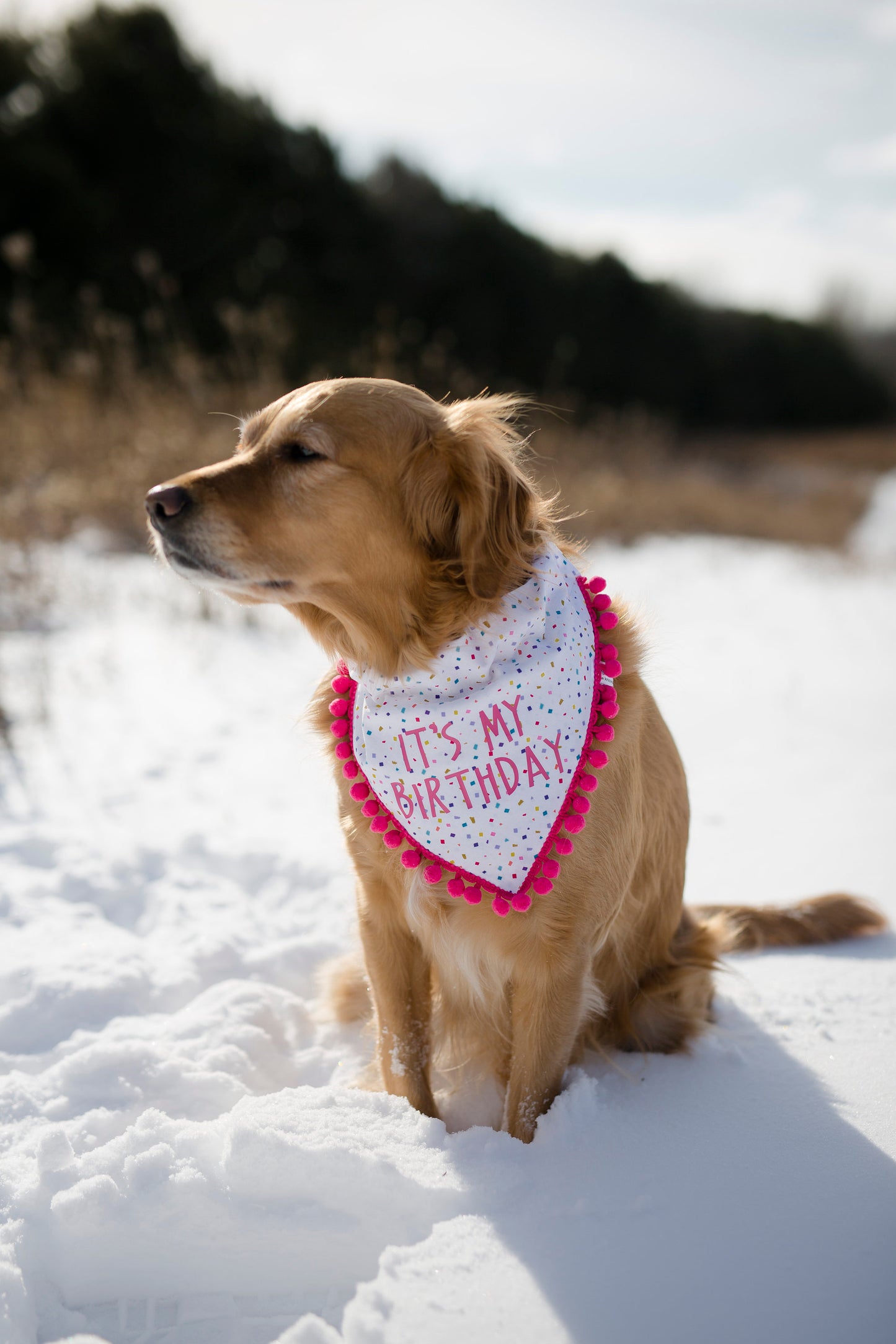 Lucy (Birthday Girl)