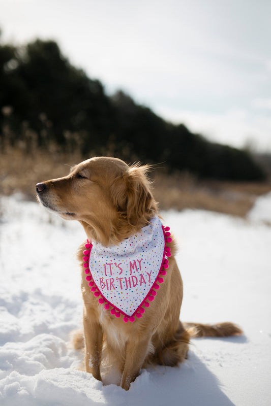 Lucy (Birthday Girl)