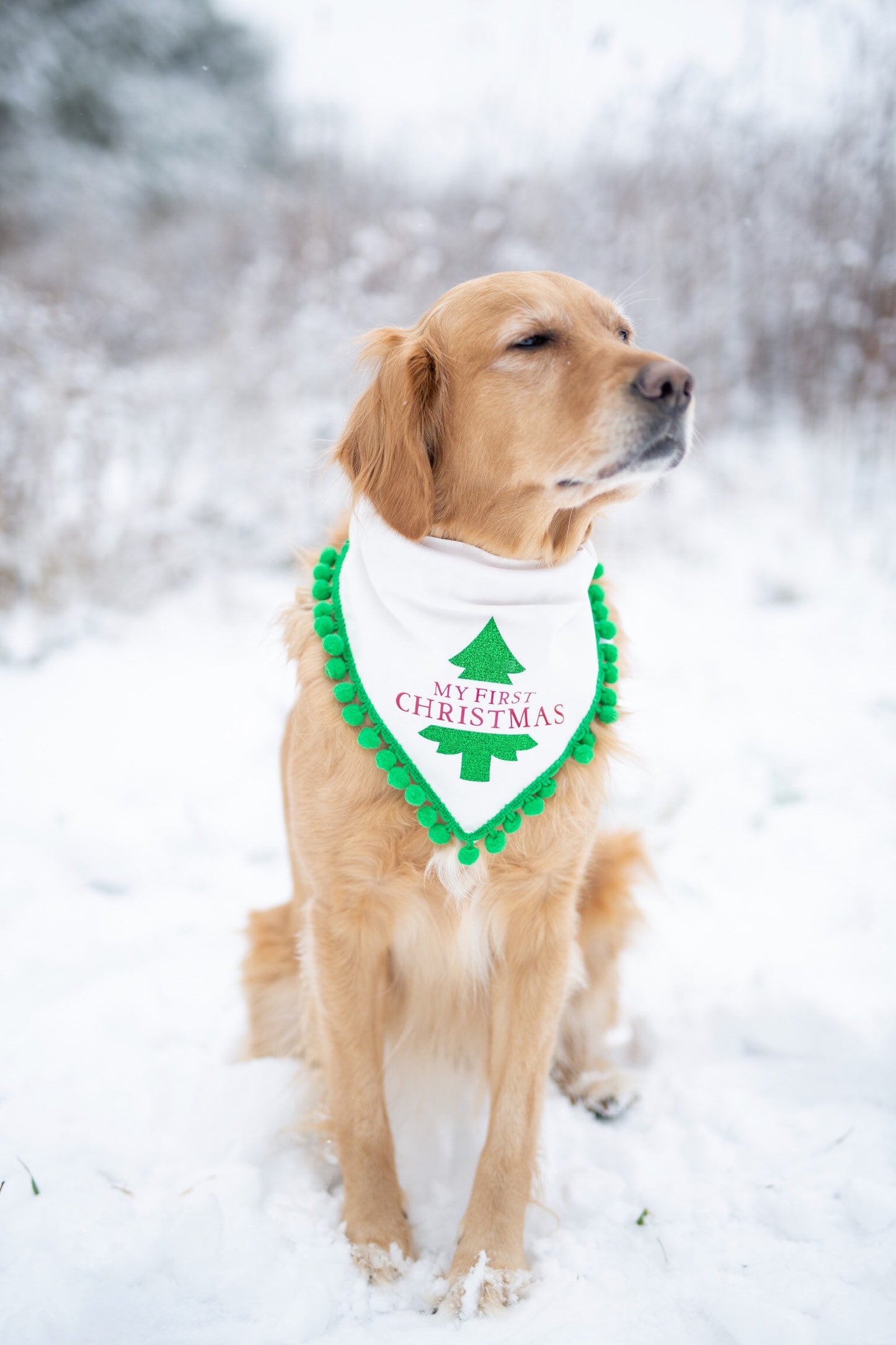 My first Christmas, first Christmas, dogs first Christmas, Christmas, Christmas dog bandana, over the collar dog bandana