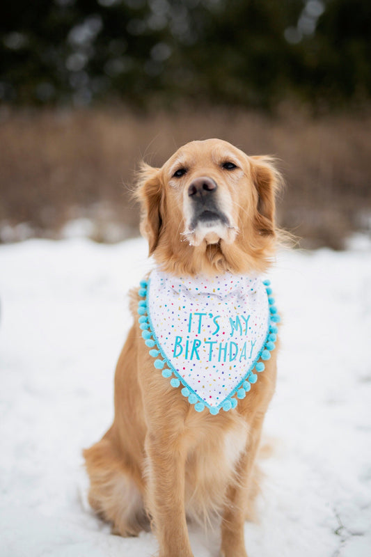 Tucker (Birthday)