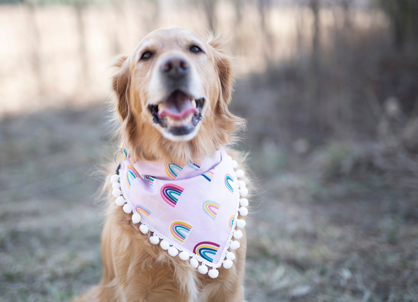 Rainbow dog bandana, rainbow baby, pregnancy announcement, pride dog bandana, over the collar dog bandana, LGBTQ, Pom Pom dog bandana, pink,