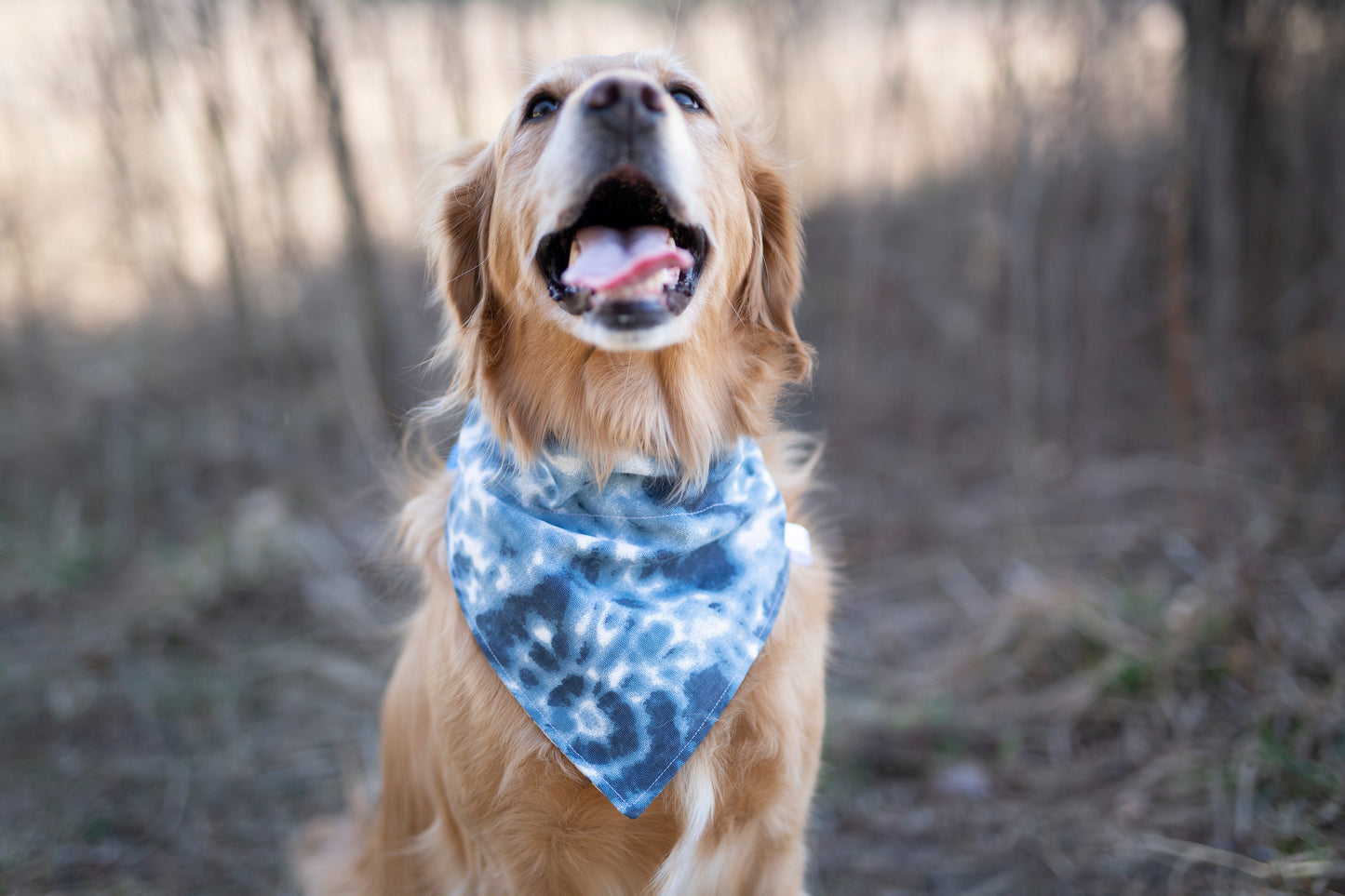 Tye - Reversible dog bandana (Independence Day Dog Bandana)