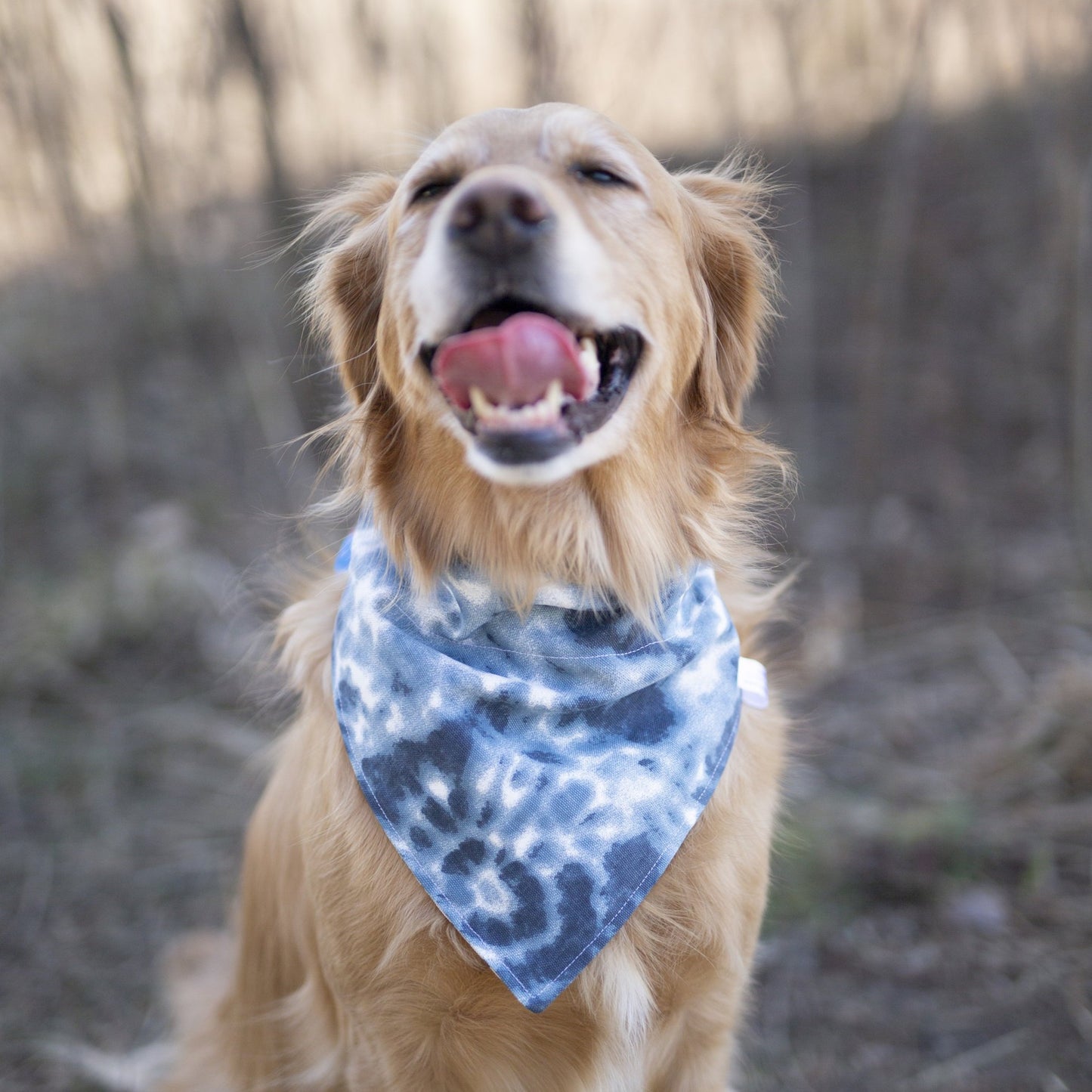 Tye - Reversible dog bandana (Independence Day Dog Bandana)