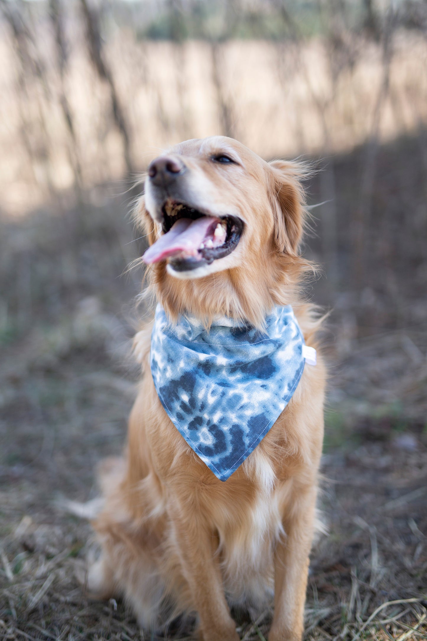 Tye - Reversible dog bandana (Independence Day Dog Bandana)