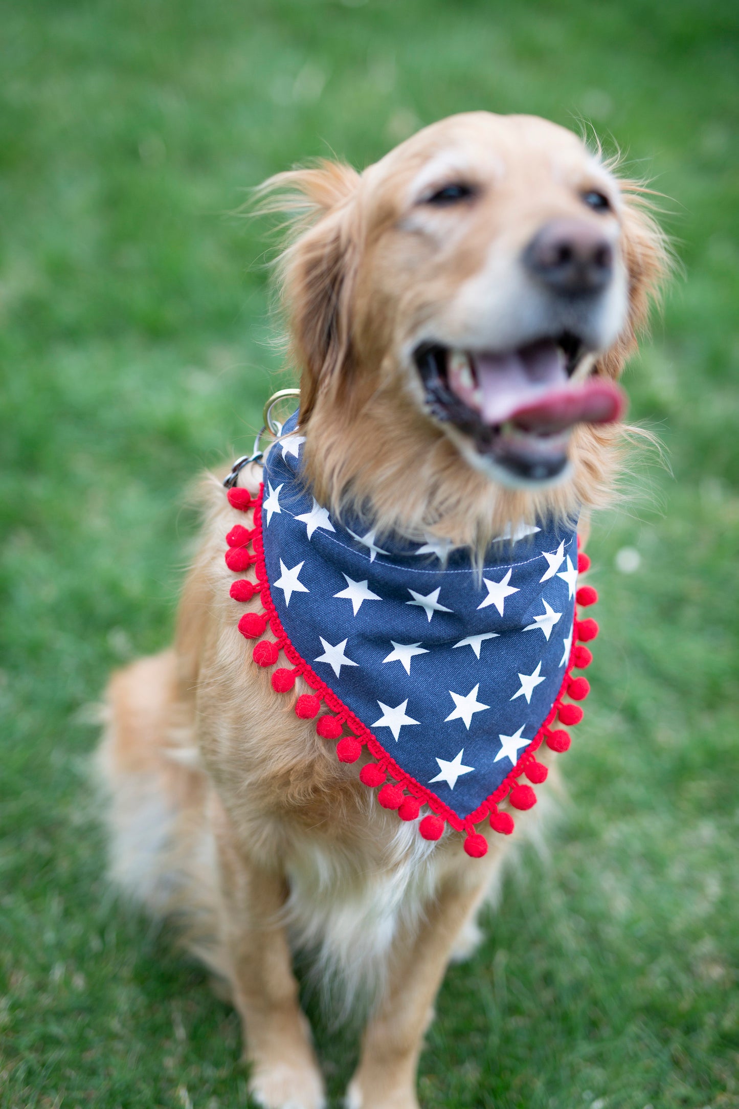 Charlie (Independence Day Dog Bandana)