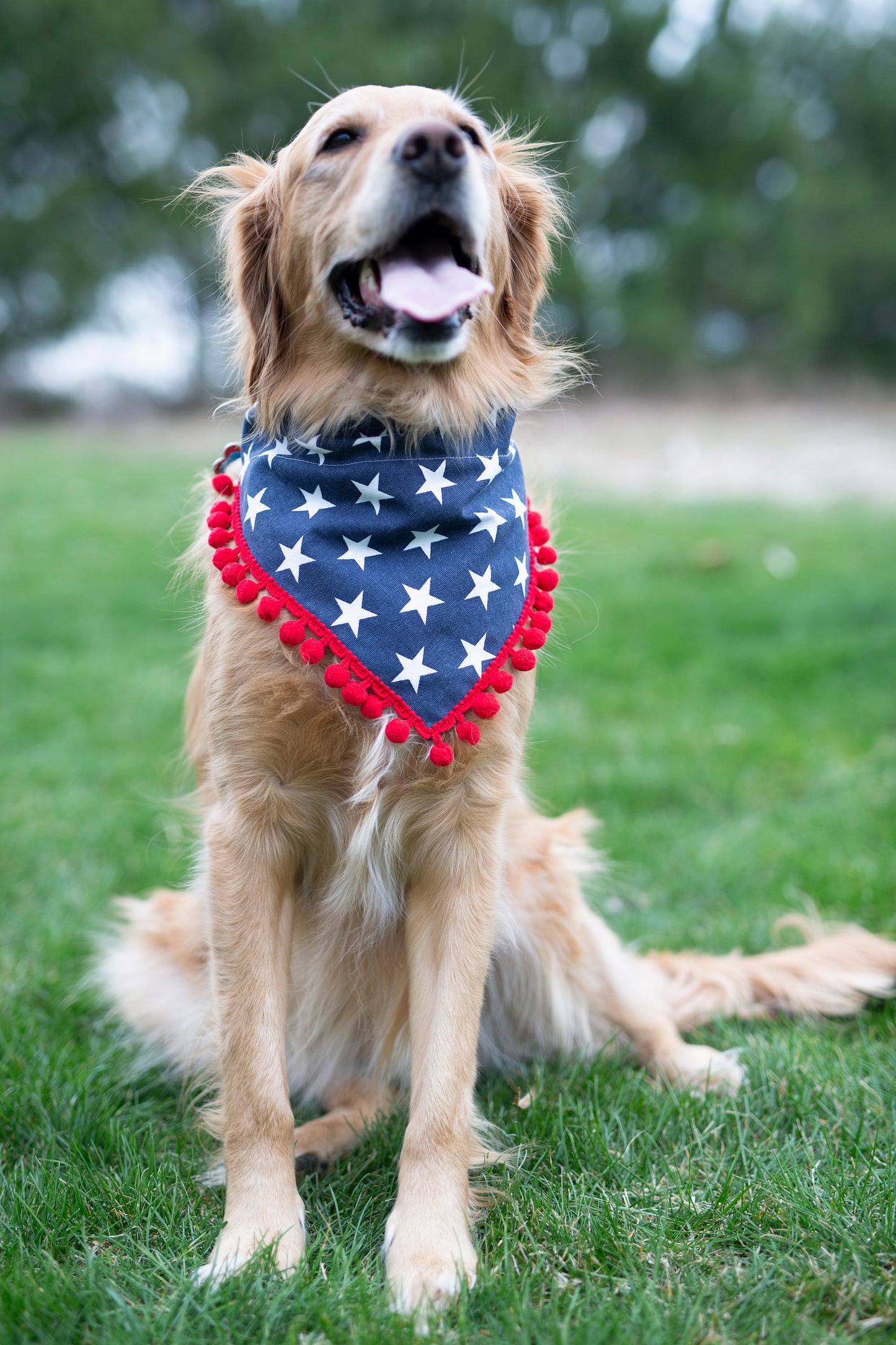 Charlie (Independence Day Dog Bandana)