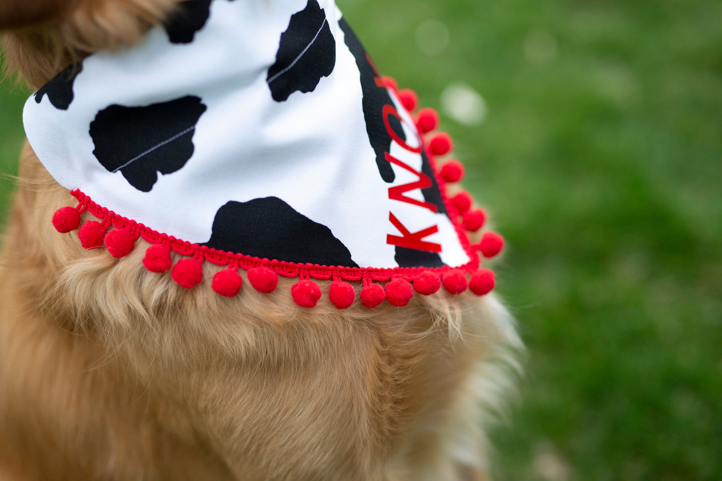 Cow bandana, fast food dog, over the collar dog bandana