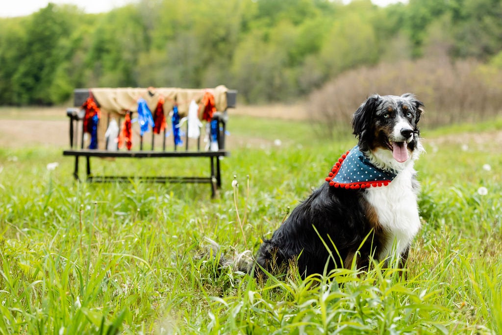 River (Independence Day Dog Bandana)