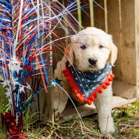 River (Independence Day Dog Bandana)