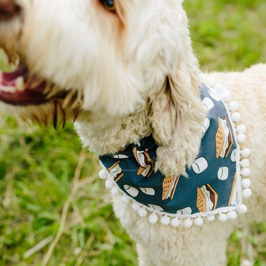 Vail (Summer Dog Bandana)