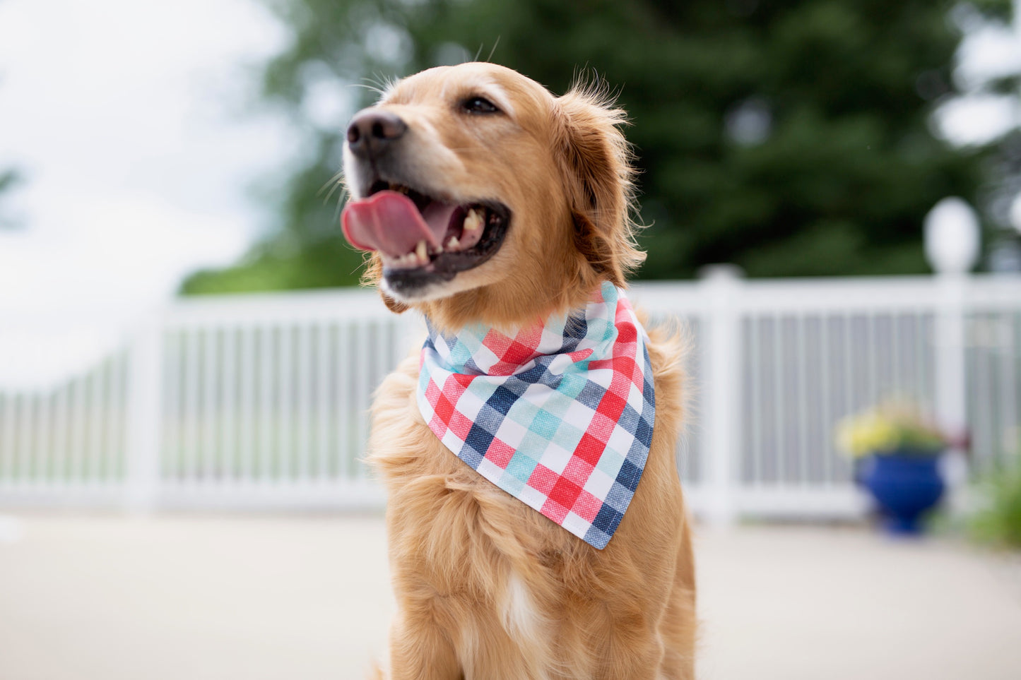 Corie REVERSIBLE - (Summer Dog Bandana)