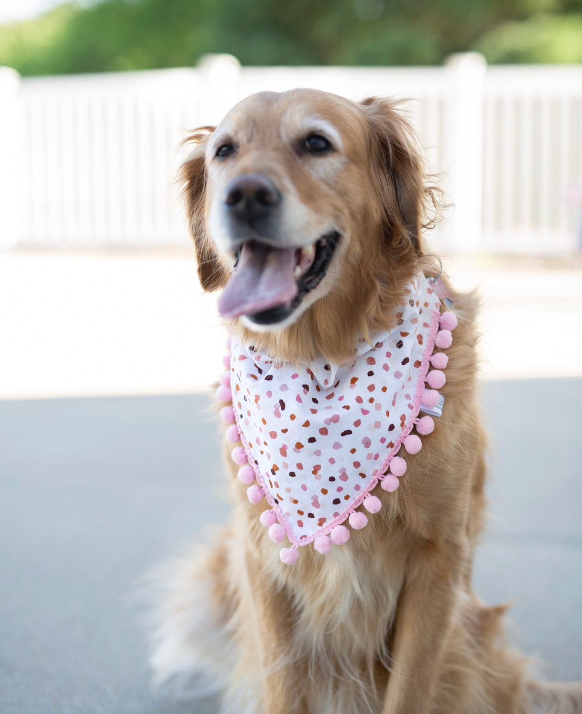 Terrazzo Dog Bandana