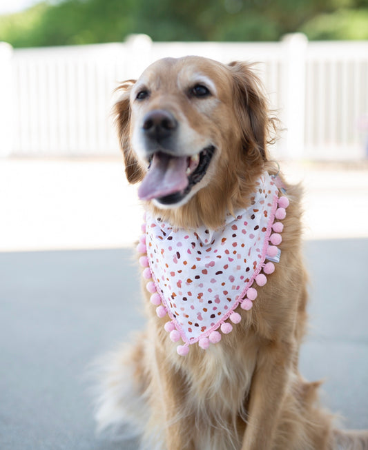 Terrazzo Dog Bandana
