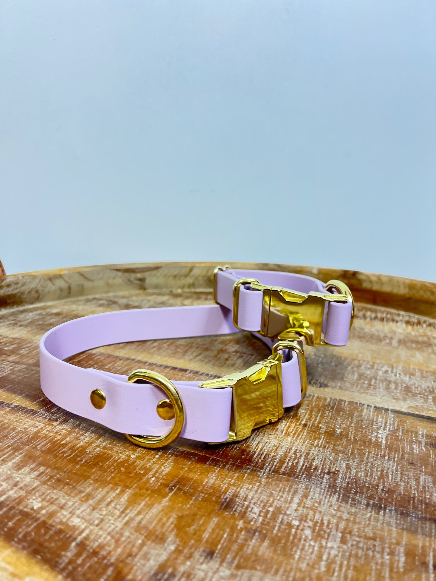 Lavender Collar with Brass Hardware