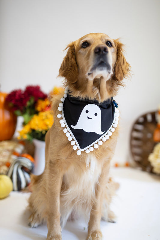 Ghost Dog Bandana