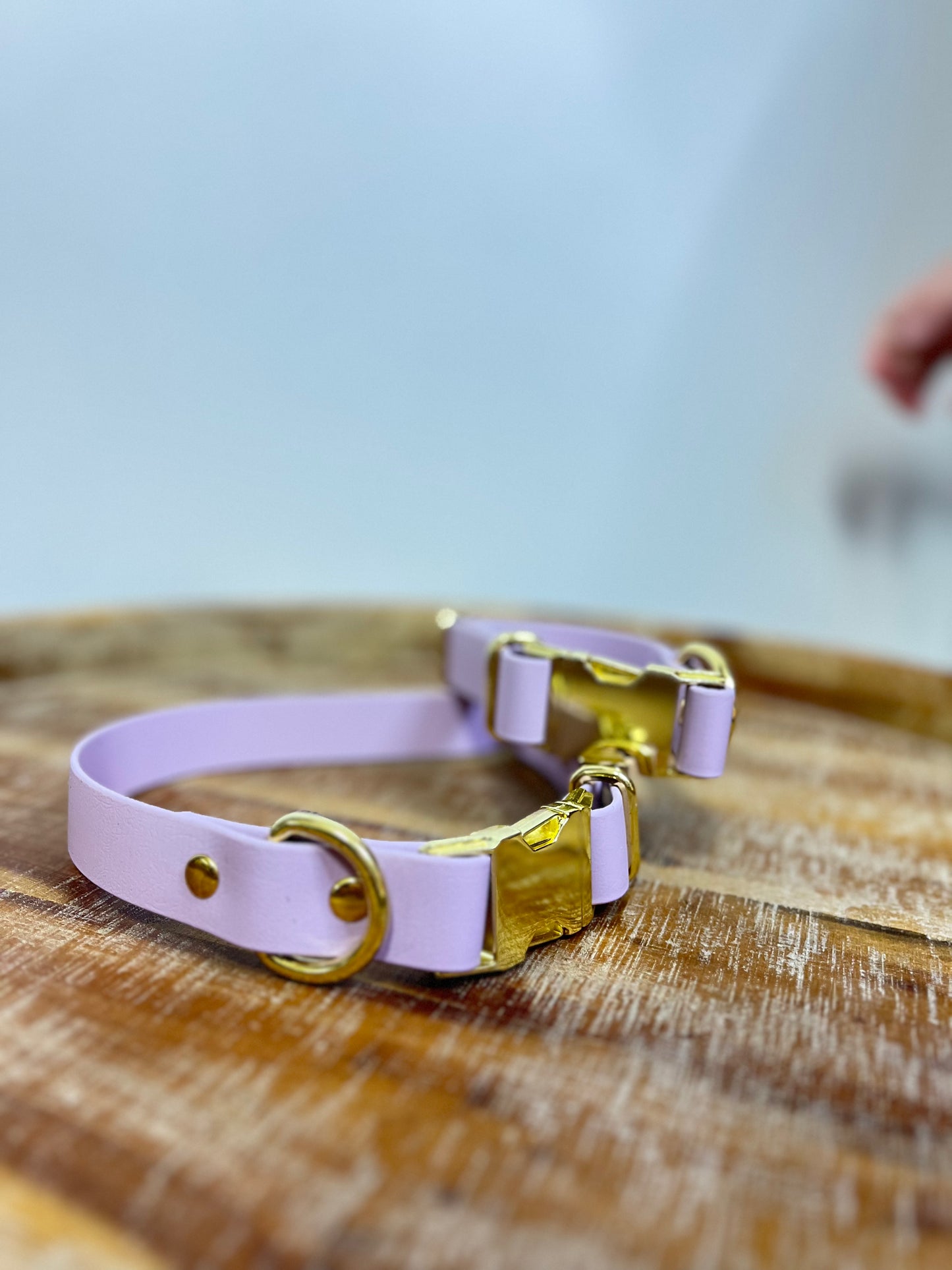 Lavender Collar with Brass Hardware