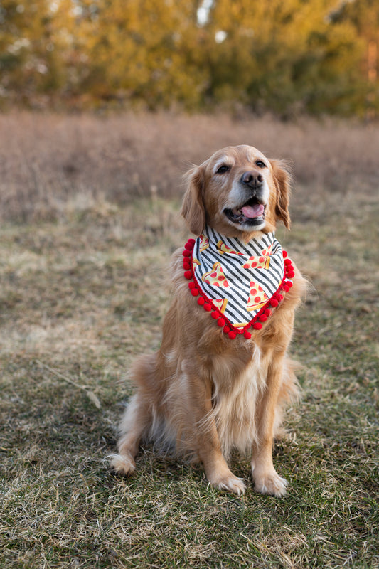 Pizza dog bandana
