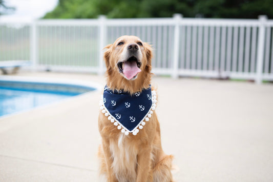 Nautical, Anchor dog bandana