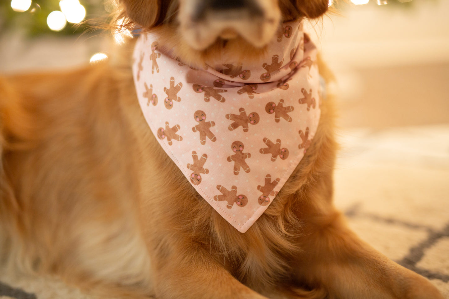 Pink gingerbread man