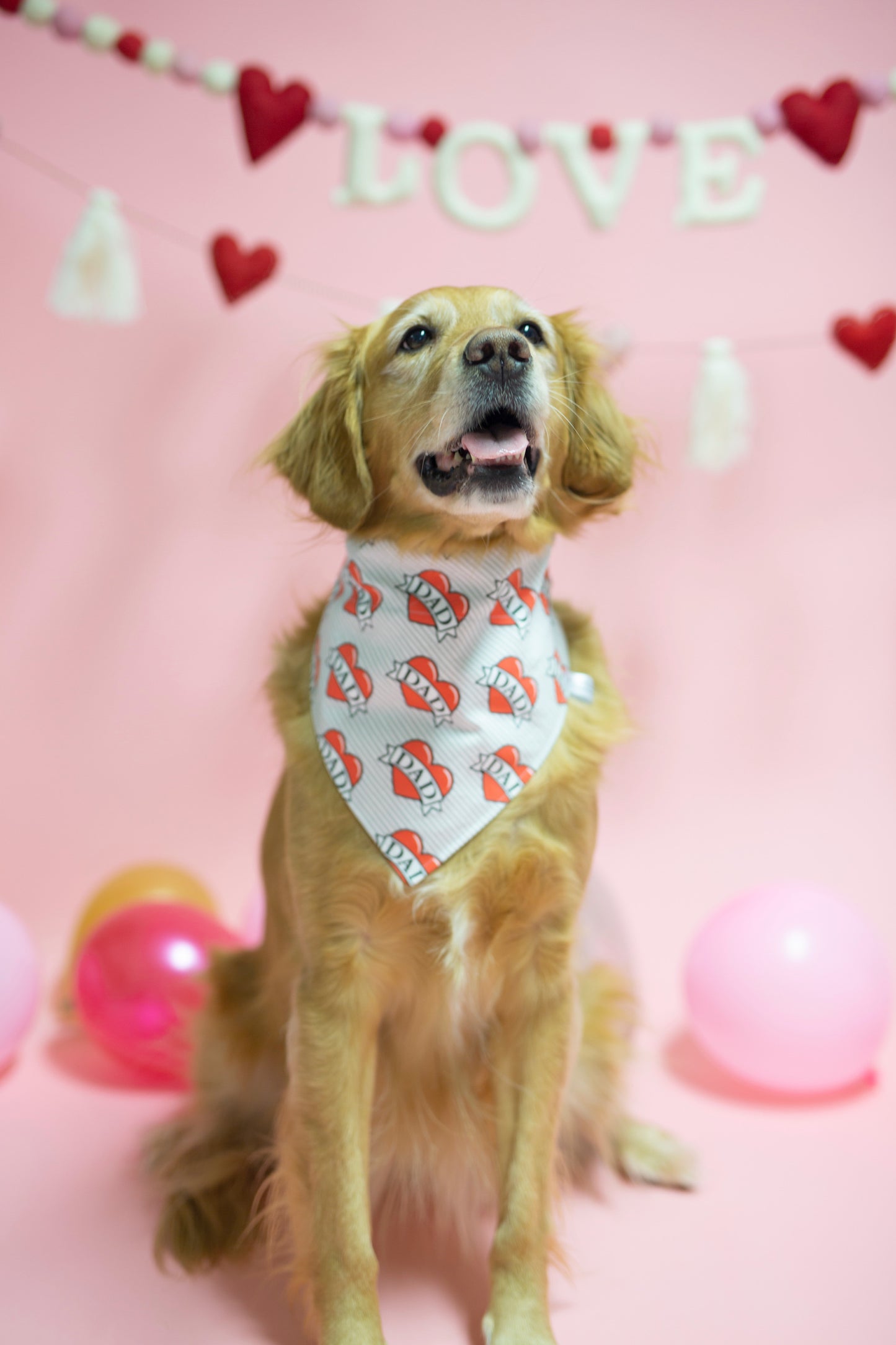 Valentine’s Day Dog Bandana - Roney