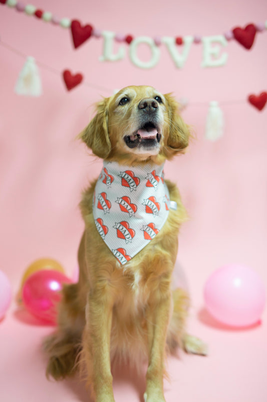 Valentine’s Day Dog Bandana - Roney