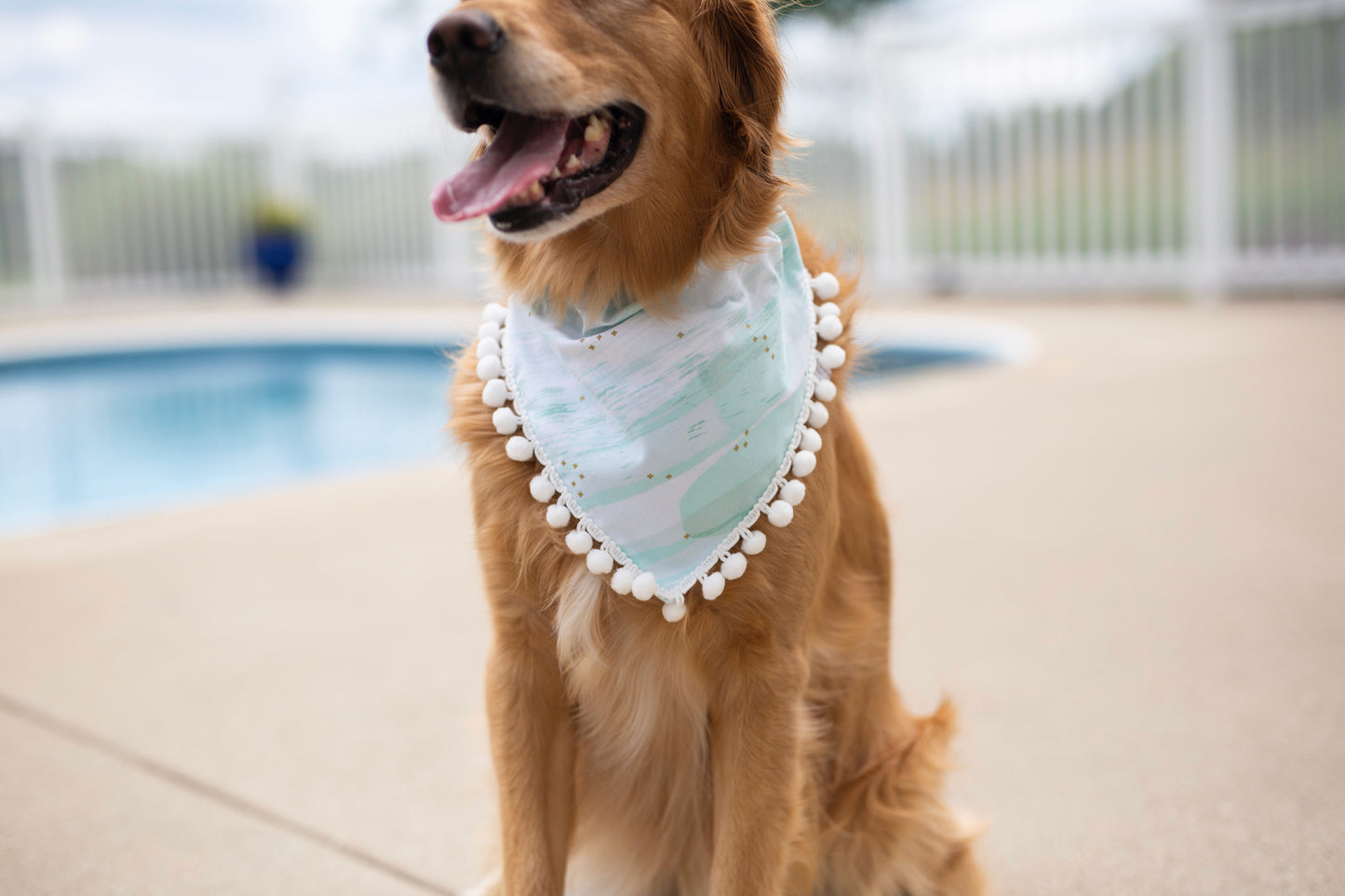 Tess ( Summer Dog Bandana)
