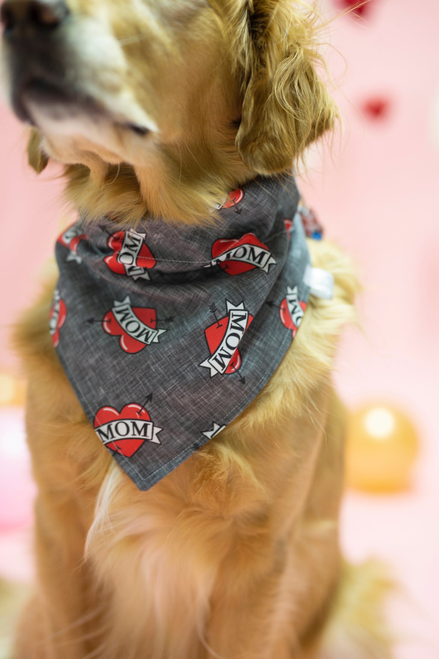 Valentine's Day - Skyler