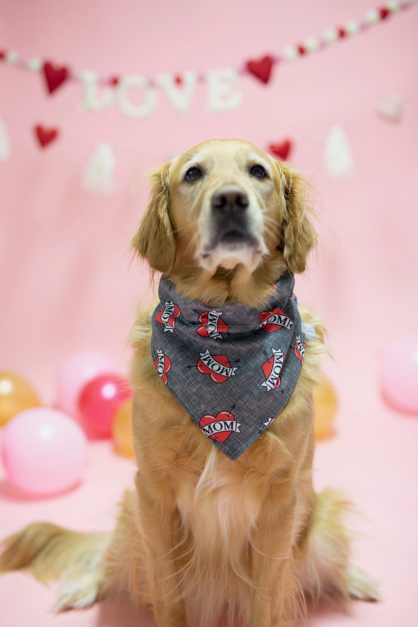 Valentine's Day - Skyler