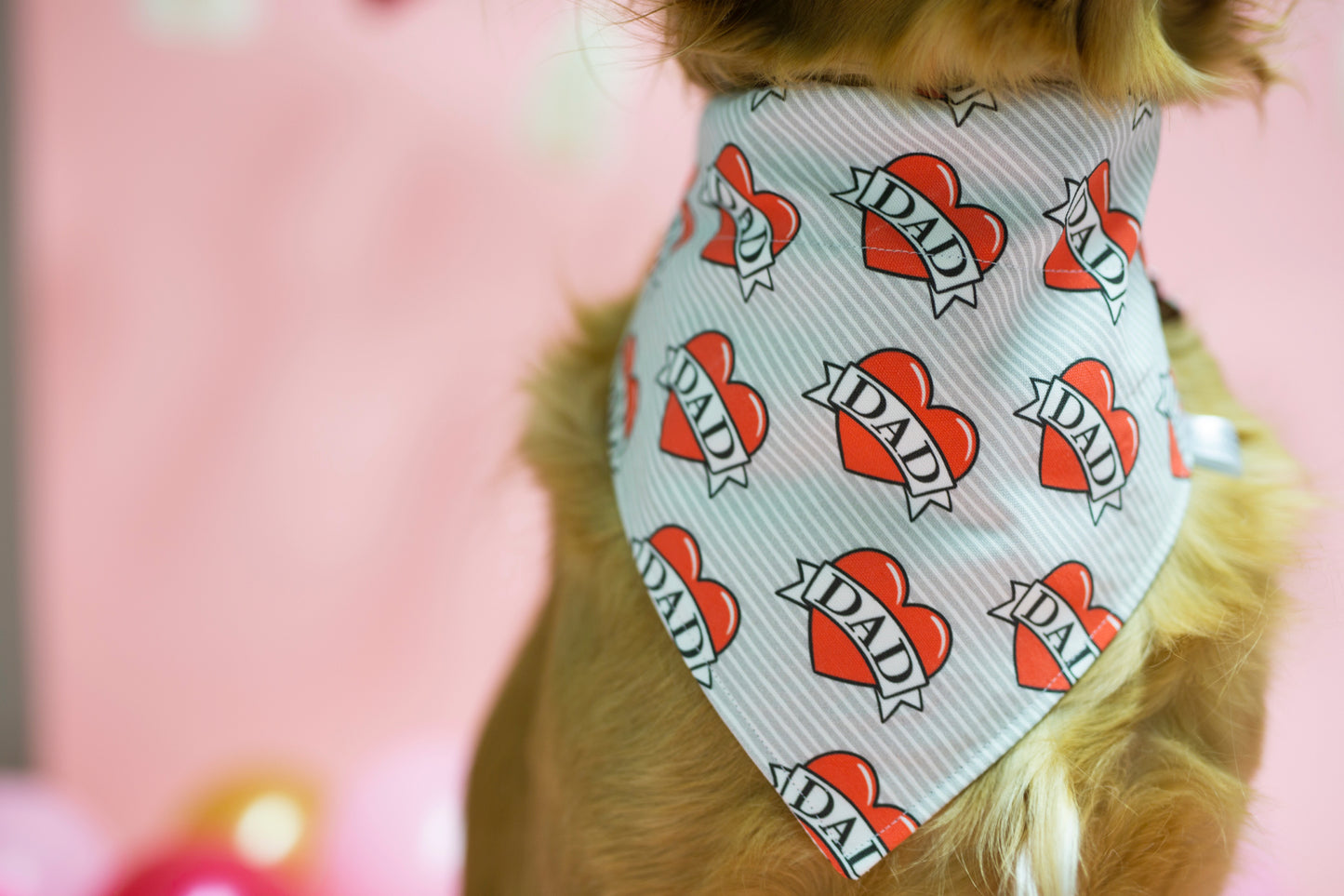 Valentine’s Day Dog Bandana - Roney