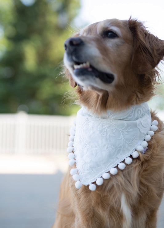 Wedding Dog Bandana - Eloise
