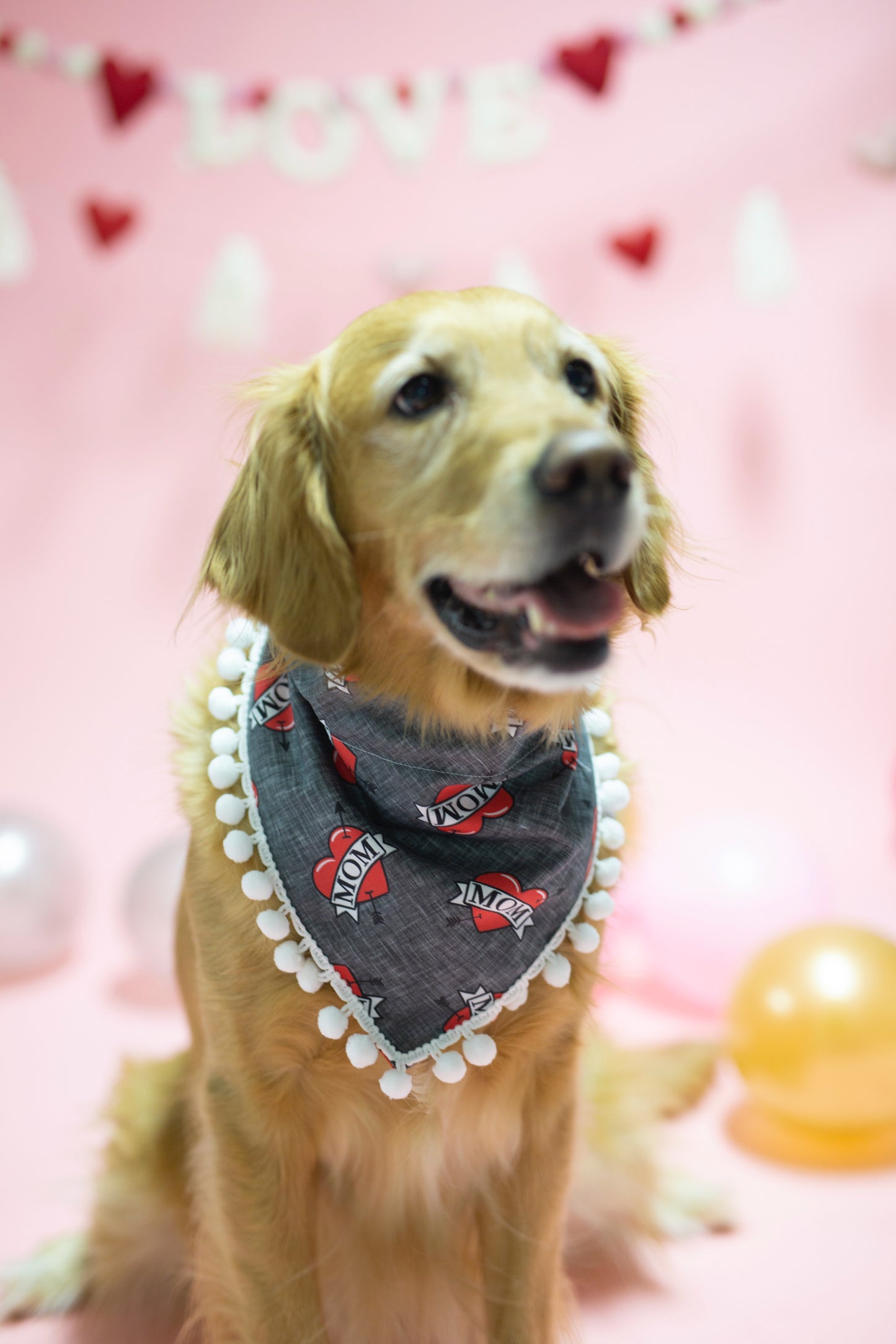 Valentine's Day - Skyler