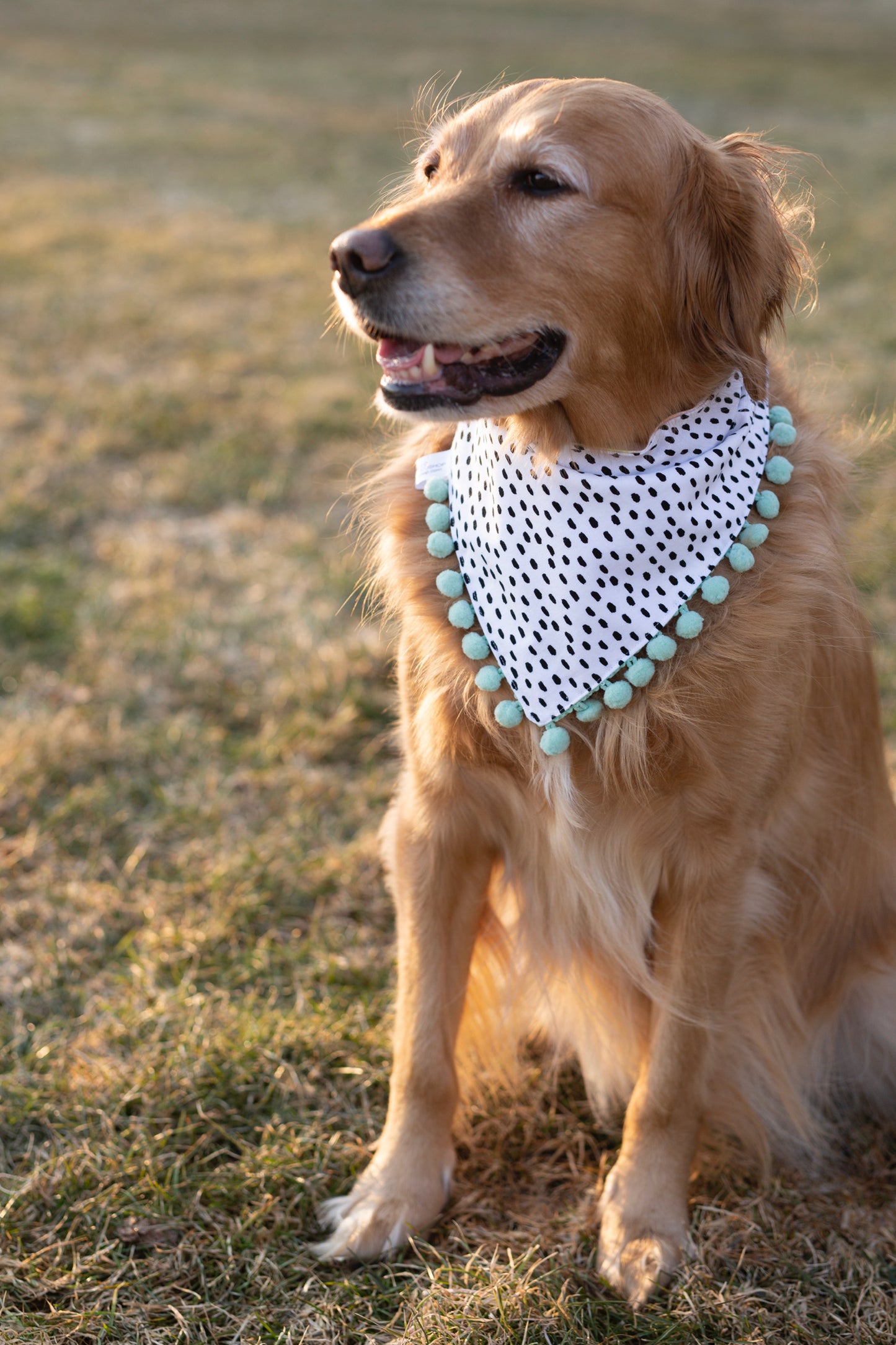 Payton (Easter ) Reversible