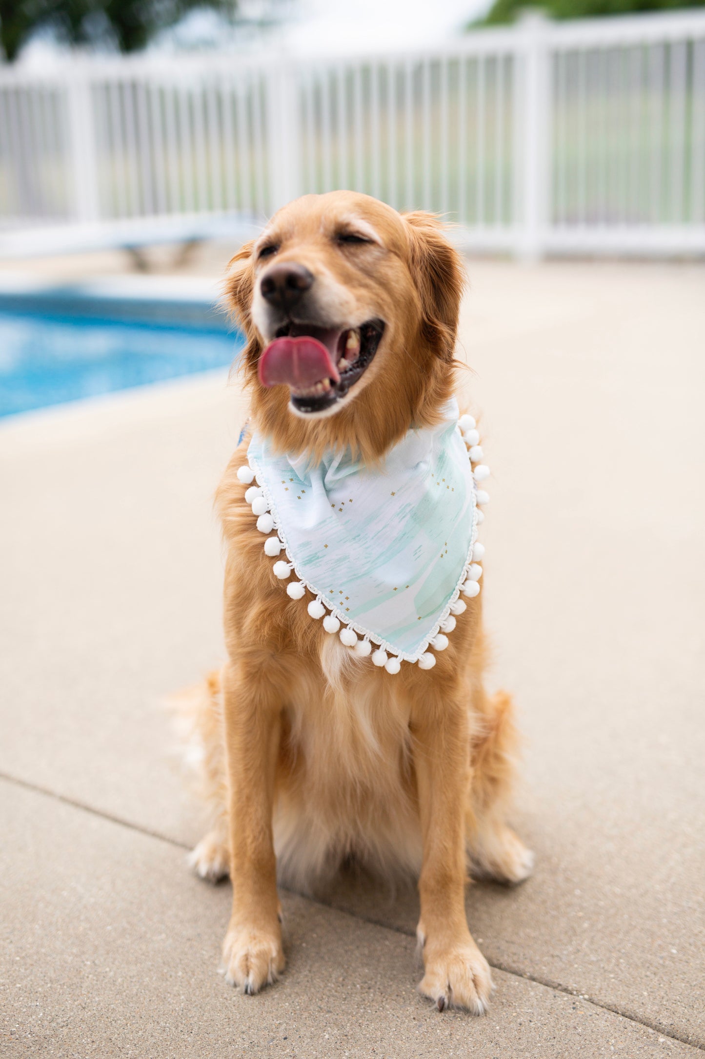 Tess ( Summer Dog Bandana)