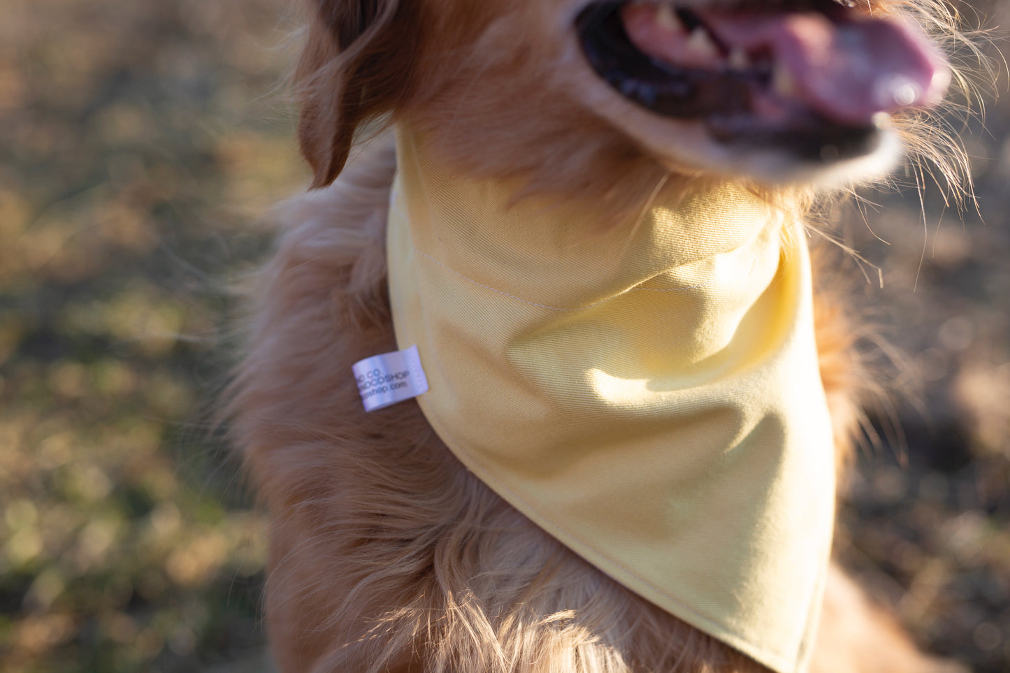Elliot (Reversible)