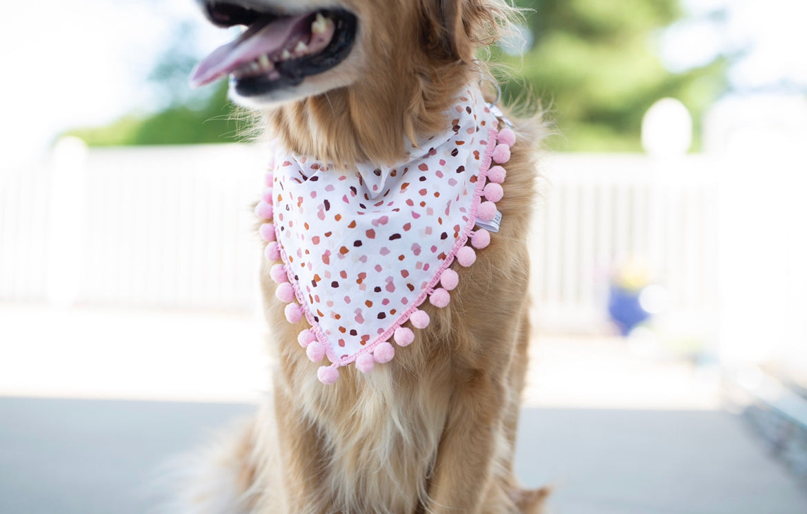 Terrazzo Dog Bandana