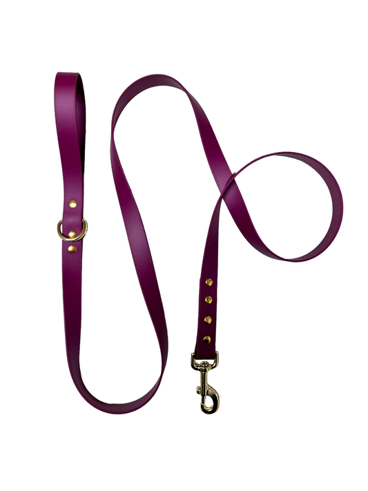 Burgundy 6’ leash