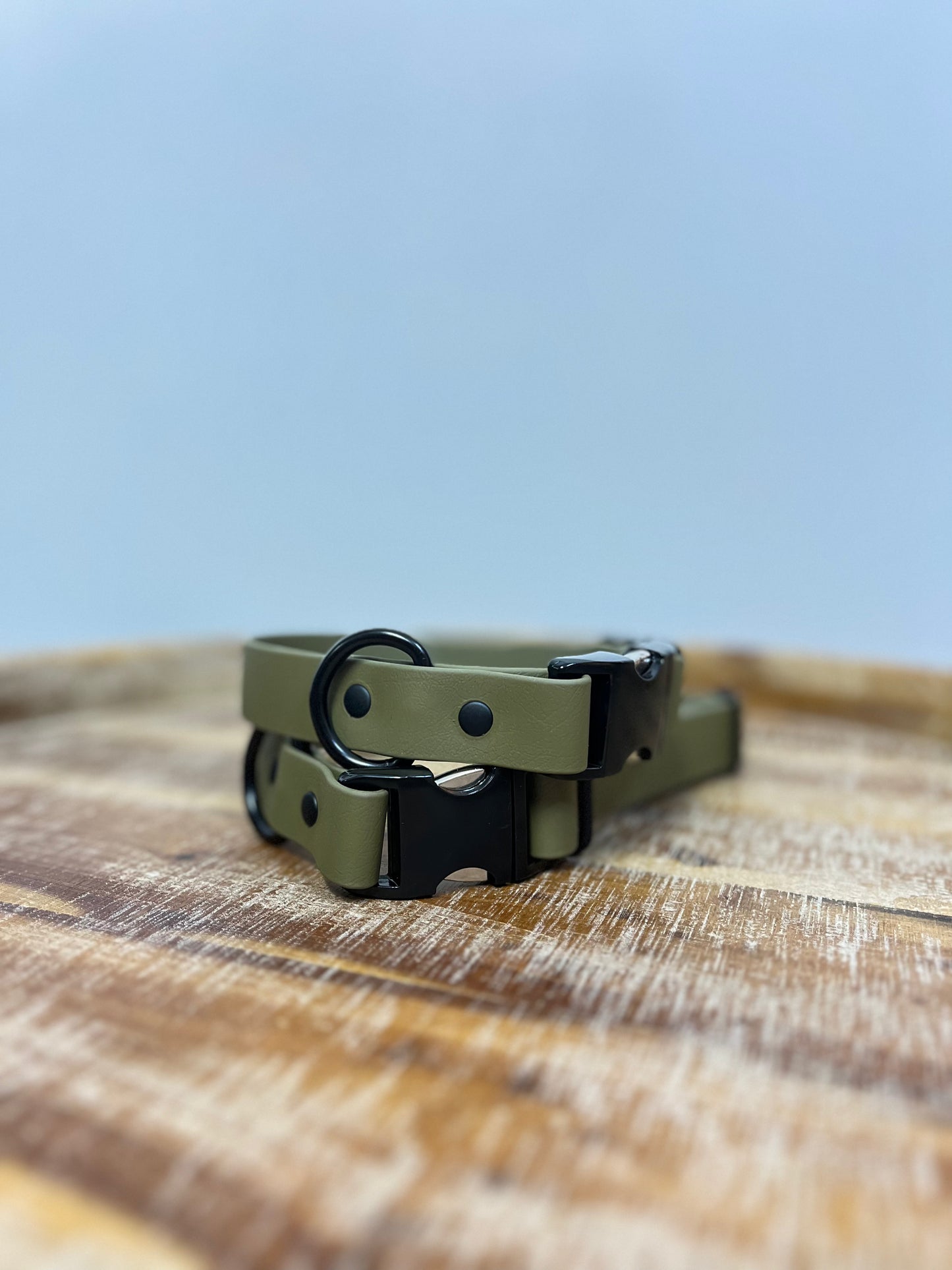 Olive collar with black hardware